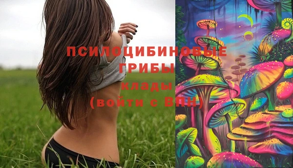 марки lsd Гусев