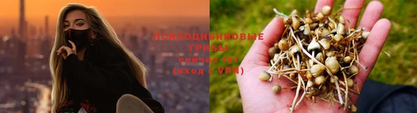 прущие крисы Гусиноозёрск
