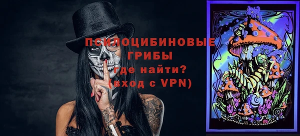 не бодяженный Гусь-Хрустальный