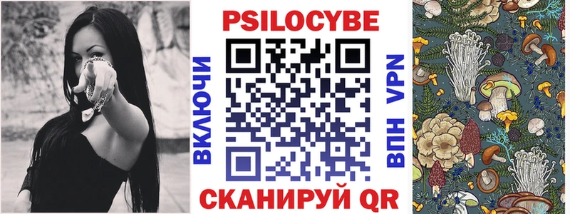 Галлюциногенные грибы Psilocybe Купить где Куровское